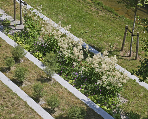 Luciline espace public